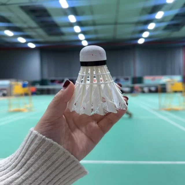 体育赛事深度解析：赛季走势与未来展望